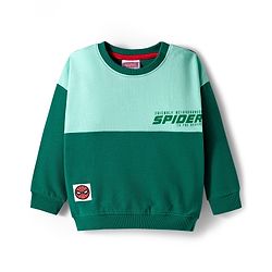Bonfino Marvel Terry Knit Oversize Drop Shoulder Full Sleeves Cut & Sew T-Shirt and Joggers Set with Front & Back Spider-Man Graphic - Dark Green & Mint