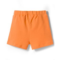 Bonfino 100% Cotton Knit Striped Shorts with Frill Detailing Pack of 4 - Multicolor