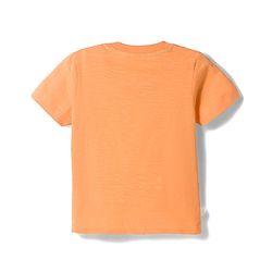 Bonfino Cotton Knit T-Shirts Half Sleeve With Beach Theme Print Pack Of 5 Multi color 9-12 Months
