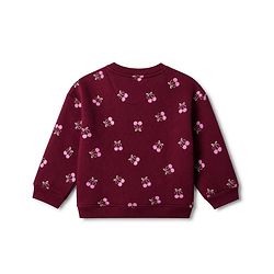 Bonfino Cotton Mixes Fleece Knit Full Sleeves Sweatshirt and Leggings with Cherries Print - Brown